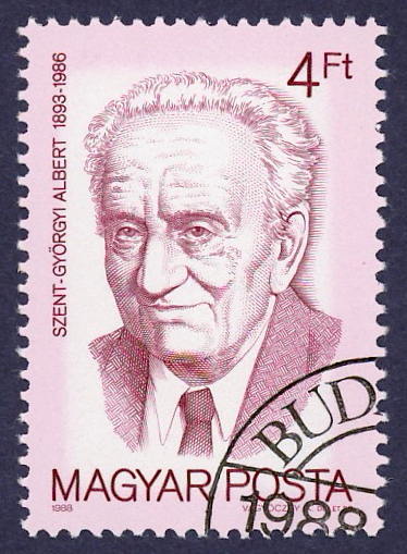 Albert Szent-Gyrgyi