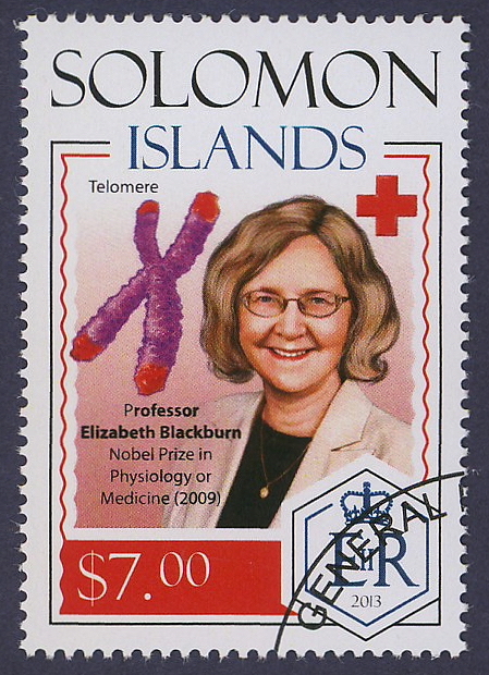 Elizabeth Blackburn