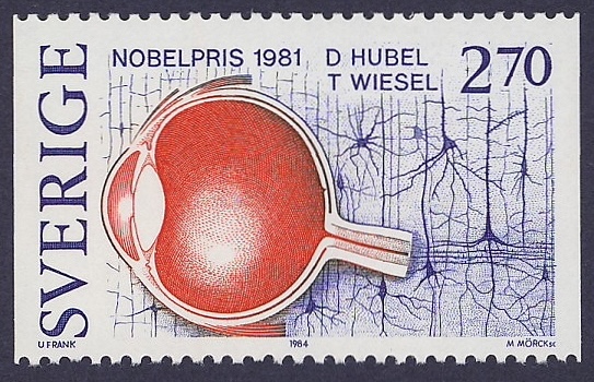 David H.
                Hubel Nobel Prize